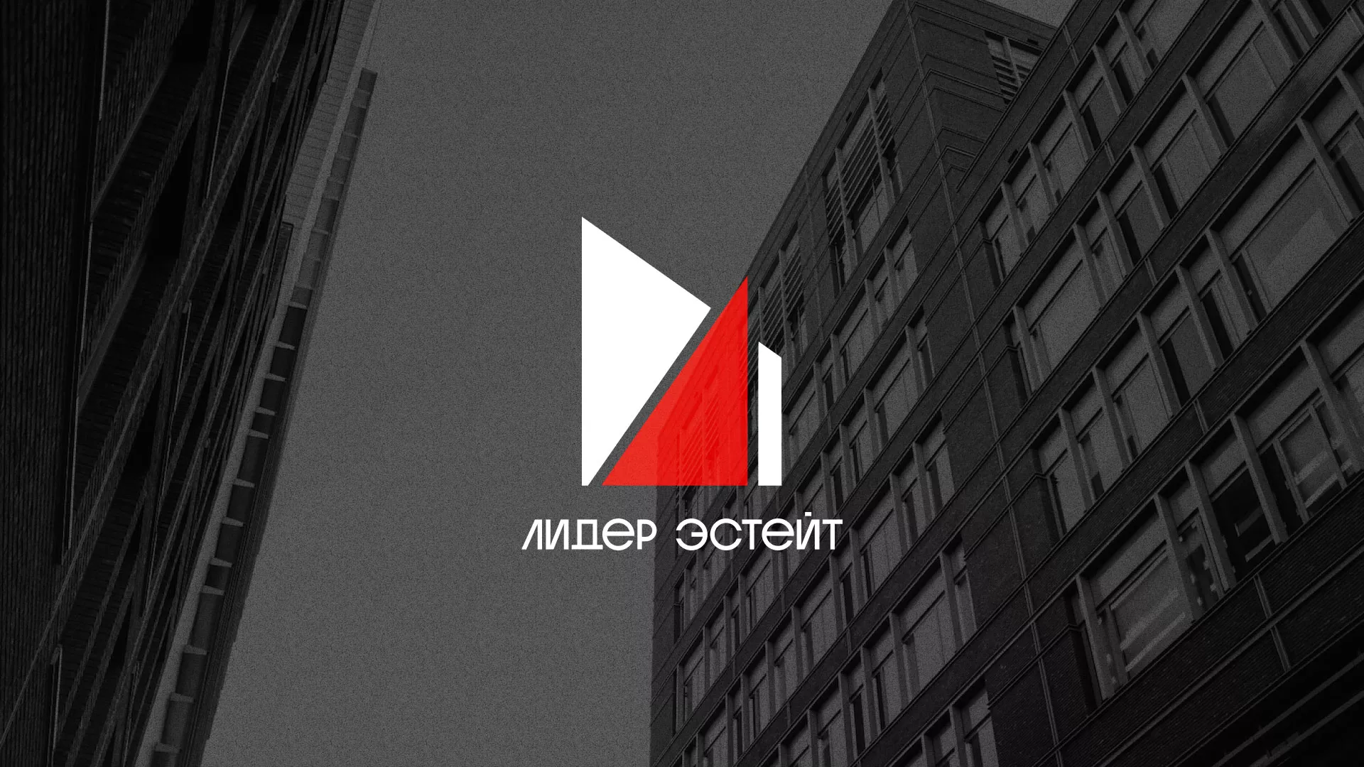 Сделали логотип для агентства недвижимости «Лидер Эстейт» в Лабытнанги